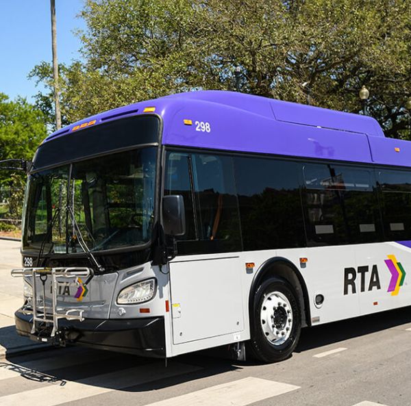 RTA Bus Lines Image